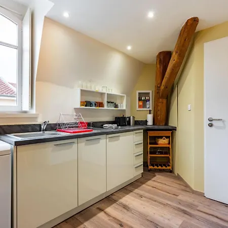 Διαμέρισμα Le Coquet De Saint-epvre - En Centre-ville Νανσύ